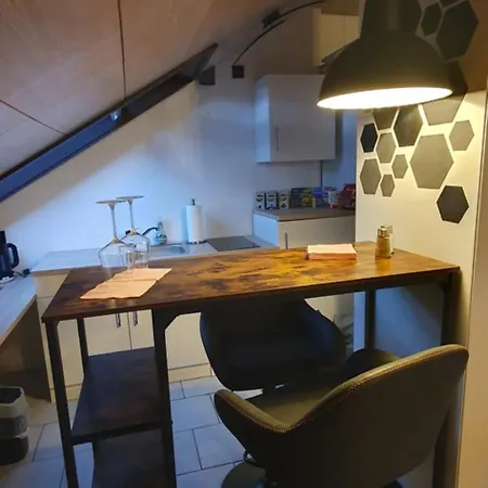 1 Zi Dg-apartment In Bad Friedrichshall-jagstfeld *