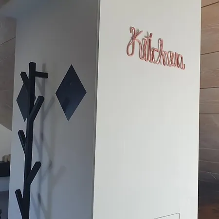 1 Zi Dg-apartment In Bad Friedrichshall-jagstfeld