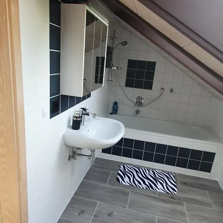 Daire 1 Zi Dg-apartment In Bad Friedrichshall-jagstfeld